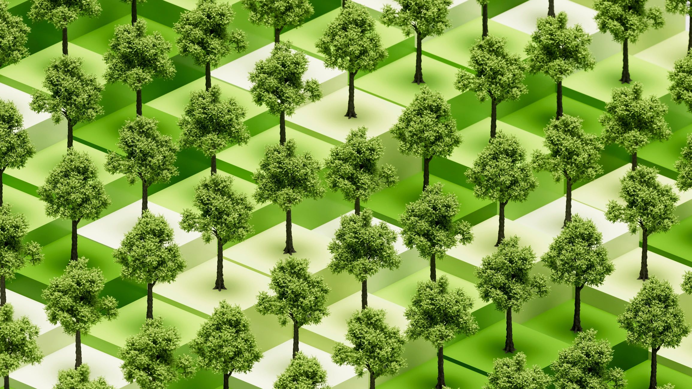 Abstract green sustainability concept with trees and geometric forms